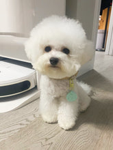 Load image into Gallery viewer, Cute Bichon Pet Tag.
